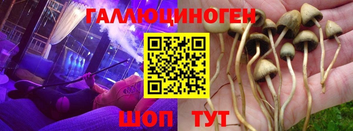 Псилоцибиновые грибы мицелий  даркнет сайт  Вход с VPN  Красногорск  Псилоцибиновые грибы Magic Shrooms 